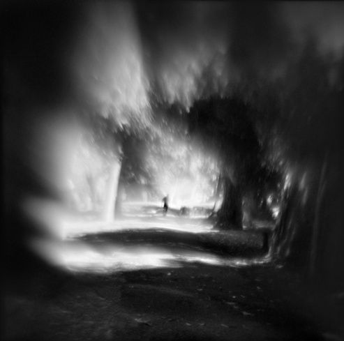 Photograph: Susan Burnstine, Forest Through the Trees"