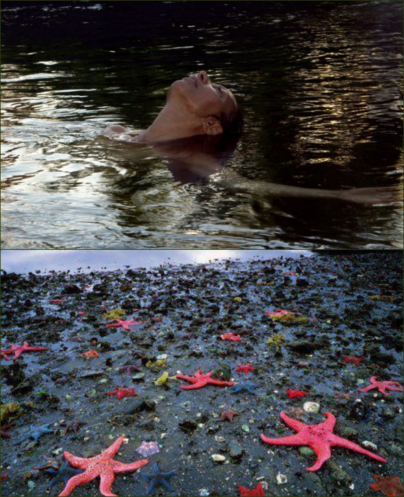 mimi water poem Collage