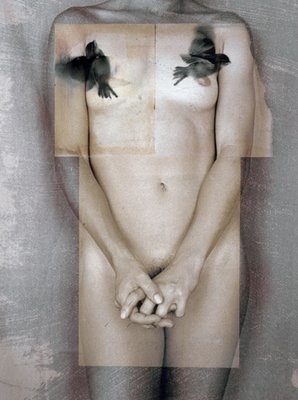 Paul Cava photograph