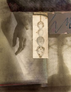 photograph:paul cava