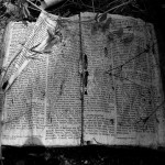 abandoned bible